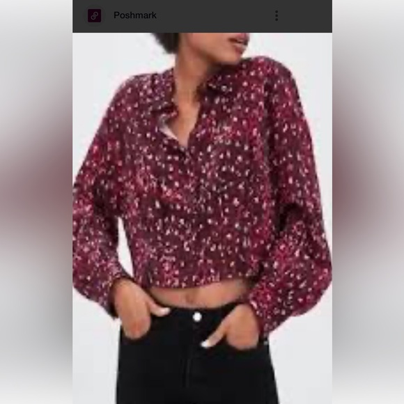 Zara women’s top NWOT animal print size large - Picture 3 of 16